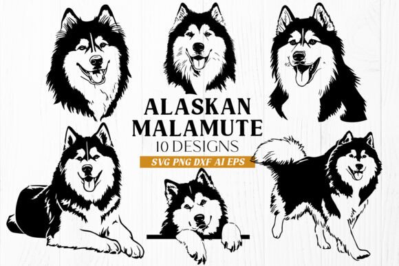Alaskan Malamute SVG Bundle: 10 Designs Put to the Test